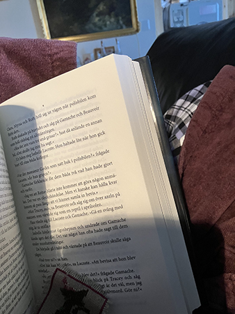 Ligger på soffan och läser