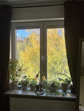 Sovrumsfönstret höst utanför