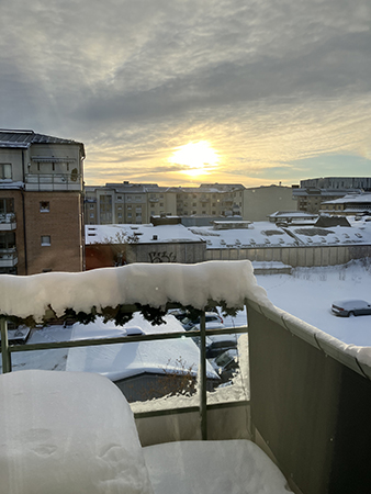 Vintermorgon i november 2024