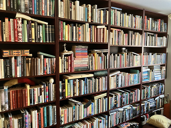 Böcker västra sidan 2