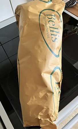 Blommor från Bellis