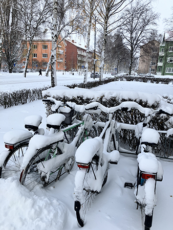 Snöiga cyklar utanför porten St Olof