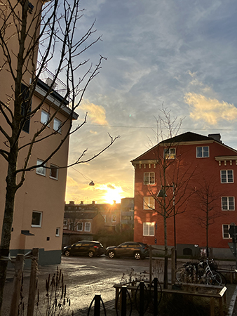 Novembersolen sjunker mellan husen
