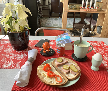 Lunch med vit julstjärna Hopptimisten o Irène samt mackor ägg o sparrisvarmakoppen