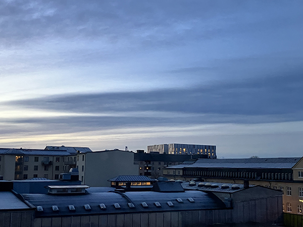 Sista decembermorgonen 2024