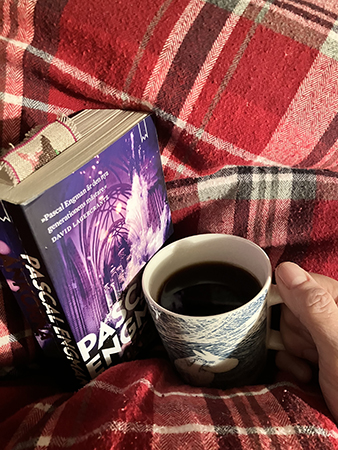 Halvvägs i boken Änkorna och kaffe på sängen