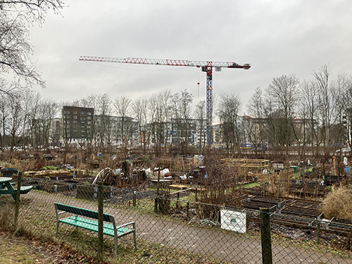 Kolonilotterna vid Höganäsparken med hus o en stor kran i bakgrunden