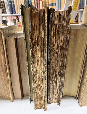 Böcker från andra sidan Carolina Rediviva Böcker från andra sidan Carolina Rediviva