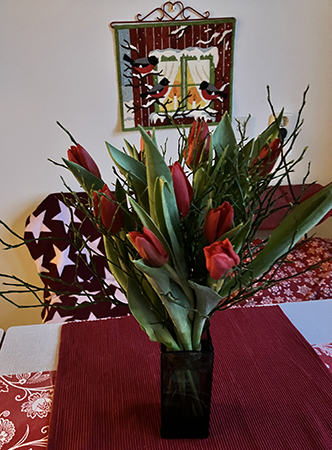 Röda tulpaner o blåbärsris på köksbordet