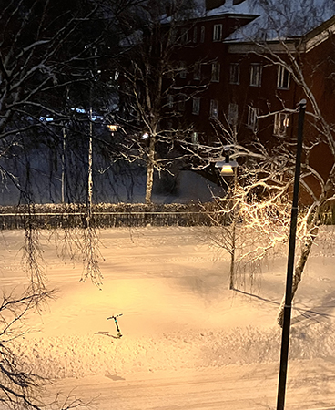 Elsparkcykel i snöig björkallé Elsparkcykel i snöig björkallé