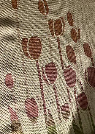 Tulpanlöpare Tulpanlöpare