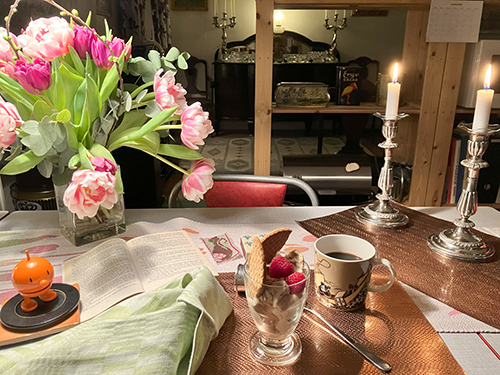 Hasselnötsglass med hallon o digetstive Hopptimisten tulpaner bokuppslag