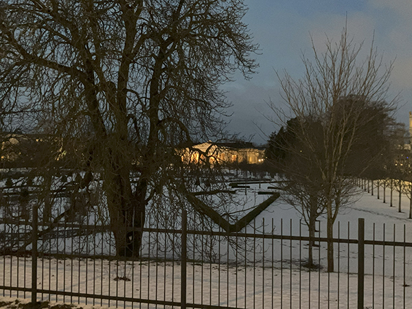 Linneanum i Barockträdgården januarimorgon Linneanum i Barockträdgården januarimorgon