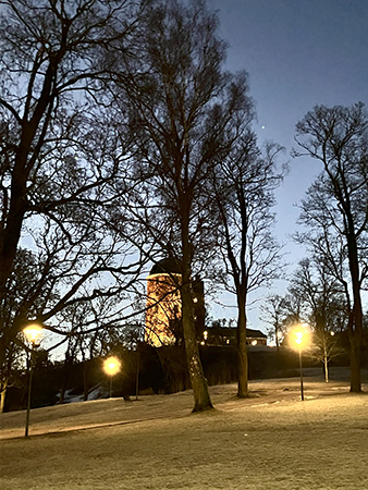 Norra tornet Uppsala slott o slottsbacke utan snö 20 januar 2025
