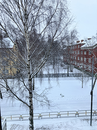 Snö på nyårsdagen St Olofsgatan