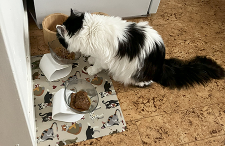 Lucifer äter på Citrus plats hos Anna