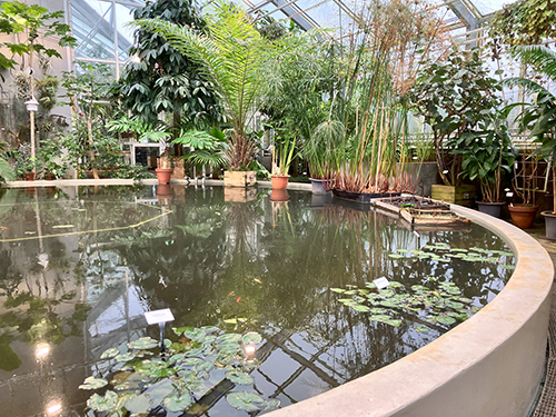 Victoriadammen höger