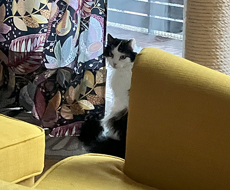 Lucifer vid Annas balkongdörr