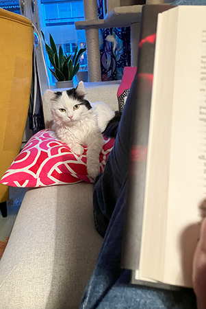 Citrus på soffkudde när jag läser i soffan