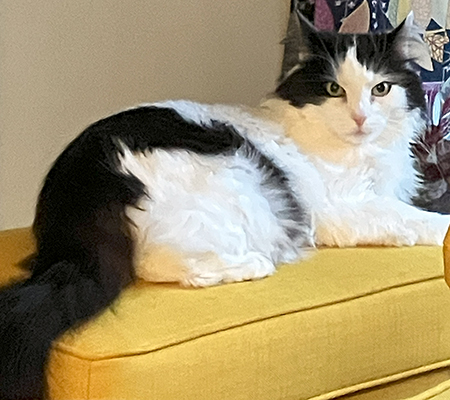 Lucifer på Annas fotpall