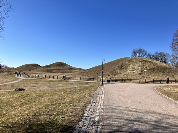 Kungshögarna Gamla Uppsala 23 mars 2025