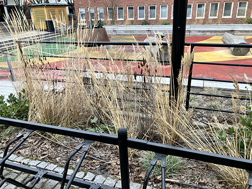 Gräs i landen utanför Cykelfabriken