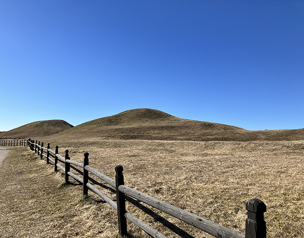 Kungshögarna Gamla Uppsala 2 23 mars 2025