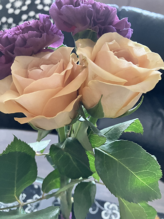 Lila nejlikor och ljusorange rosor