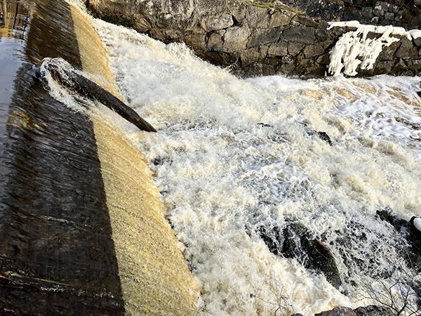 Vattenfallet vid Ulva kvarn