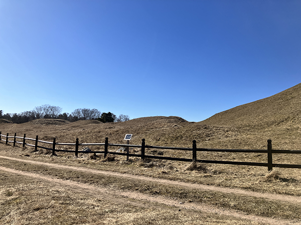 Gravhögar Gamla Uppsala 23 mars 2025