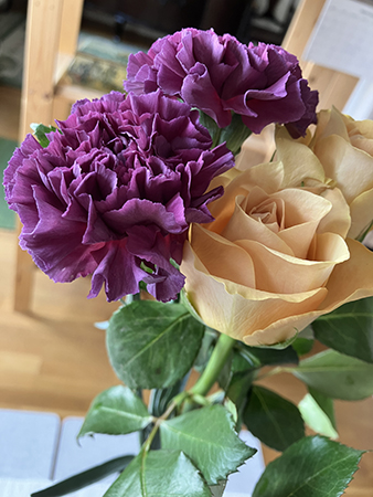 Lila nejlikor och orange rosor närbild