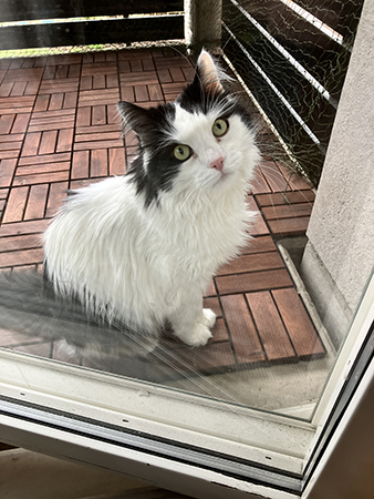 Lucifer bakom Annas balkongdörr