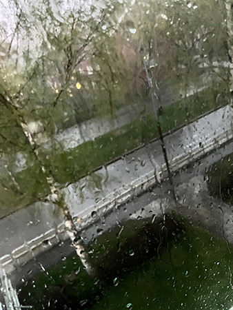 Regn på fönstret ut mot björkallén