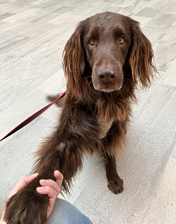 Bruno tackar för godiset