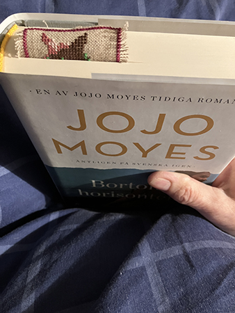 Läst 38 procent av Bortom horisonten