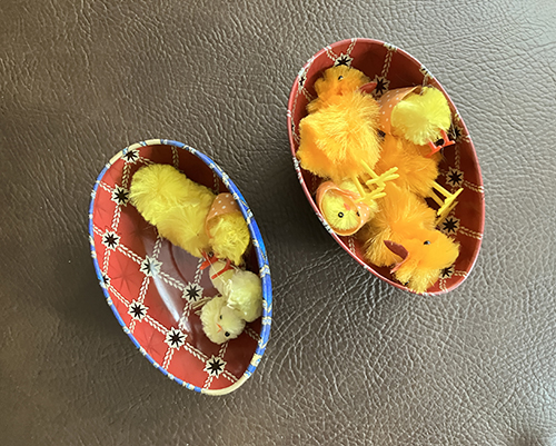 Små kycklingar i ett blått litet plåtägg