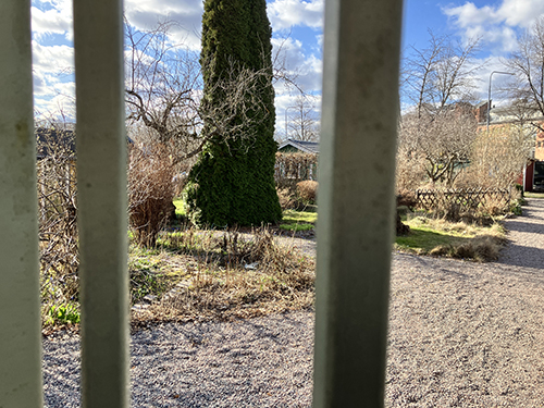 Trädgårdföreningen Viola