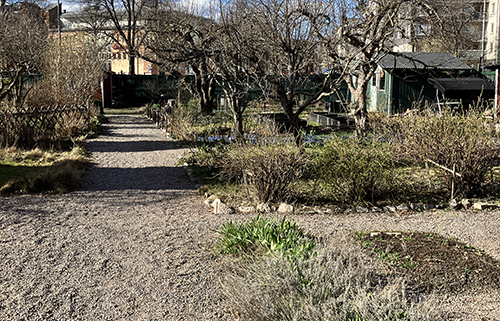 Trädgårdsföreningen Viola gångar och bodar