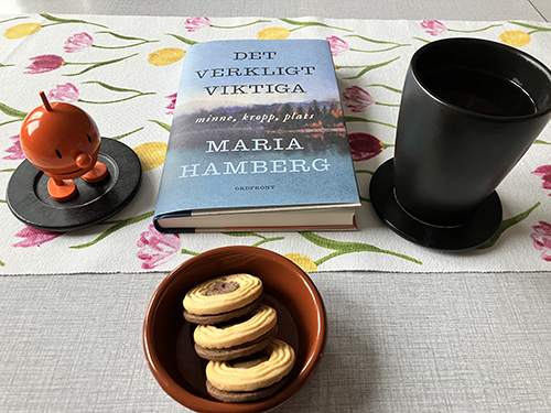 Hemmafika med Hopptimisten Det verkligt viktiga och Ballerinakex