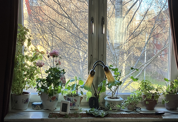 Sovrumsfönstret med växter och lampa i grönt och gult