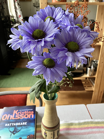 Blå krysantemum o blåa boken Nattankare Blå krysantemum o blåa boken Nattankare