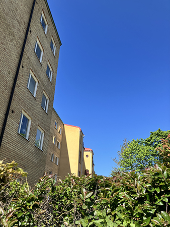Gula hus i Höganäs mot blå majhimmel