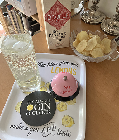 When life gives you lemons make a gin and tonic Old Tom gin