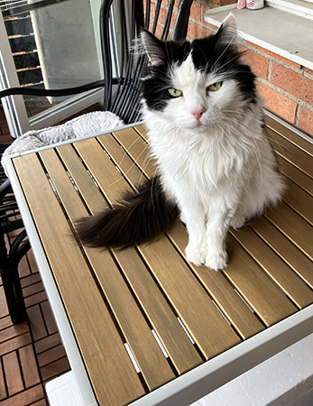 Lucifer på Annas balkongbord