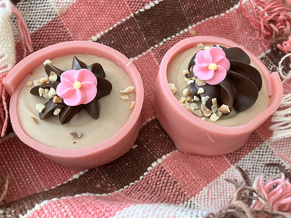 Två rosa Noisette från Triller