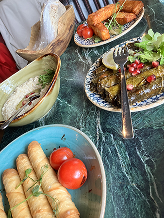 Meza ostrullar Baba Ganoush halloumi och dolmar