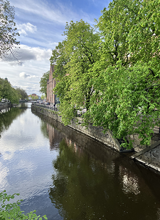 Gröna kastanjeträd vid ån fotade från Nybron