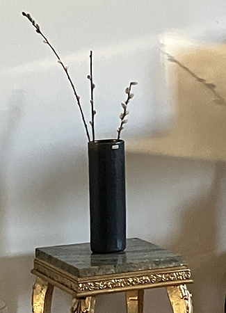 Videkissar och skugga