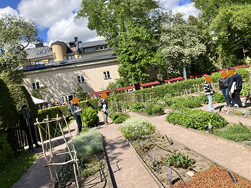 Besökare i Linnés trädgård