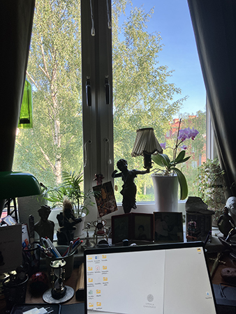 Arbetsrumsfönstret junimorgon 2025